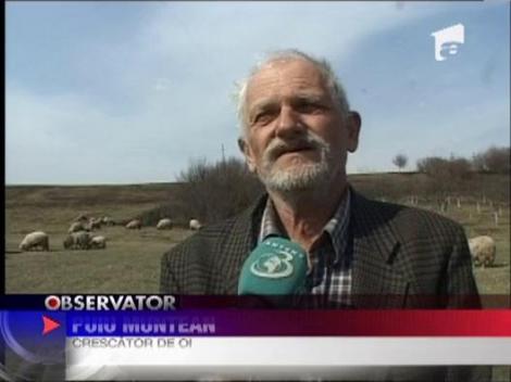 Tot mai multi romani vor sa manance bio