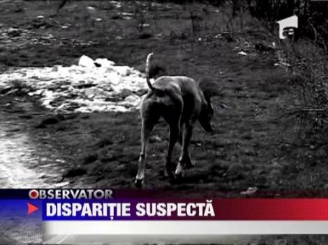 Un tanar de 21 de ani a disparut de acasa