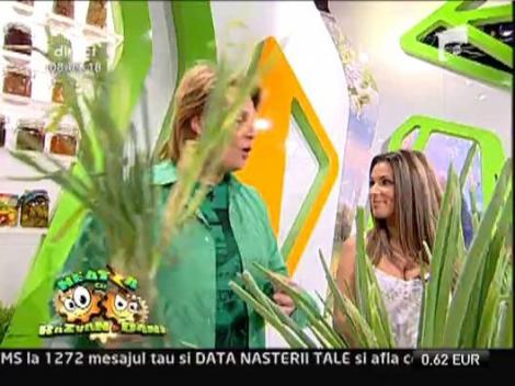 Cartofi de primavara preferati