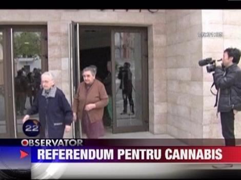 Primarul unui sat spaniol a luat initiativa de a cultiva cannabis
