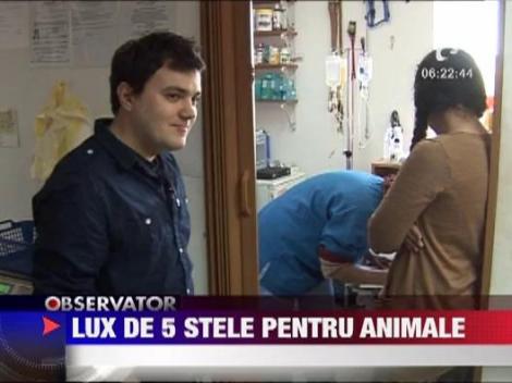 Lux de 5 stele pentru animalele de companie