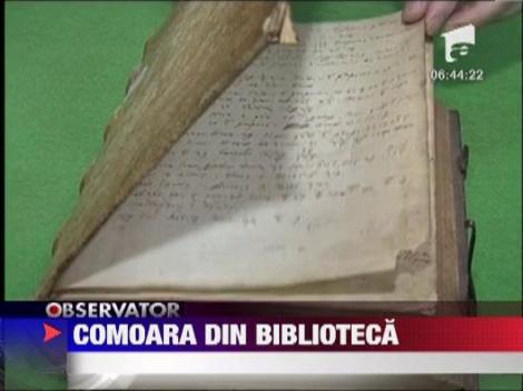 Comoara descoperita intr-un depozit din Cluj