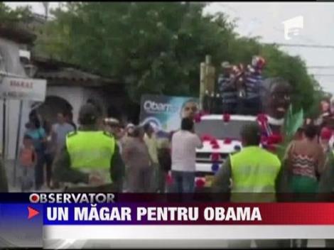 Un magar pentru Obama