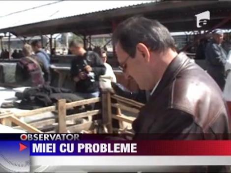 Nereguli la carnea de miel intr-un targ din Drobeta Turnu Severin