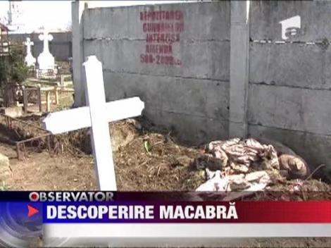 Descoperire macabra intr-un cimitir din Zanesti