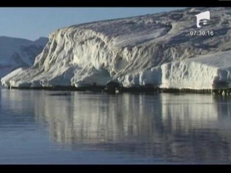 Pinguinii imperiali din Antarctica, numarati din satelit