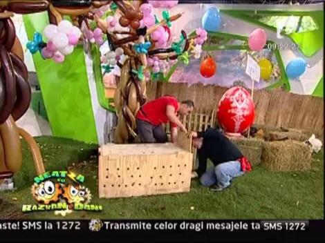 Delia si-a luat un cangur pitic din Thailanda