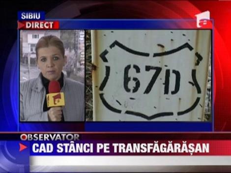 Cad stanci pe Transfagarasan!