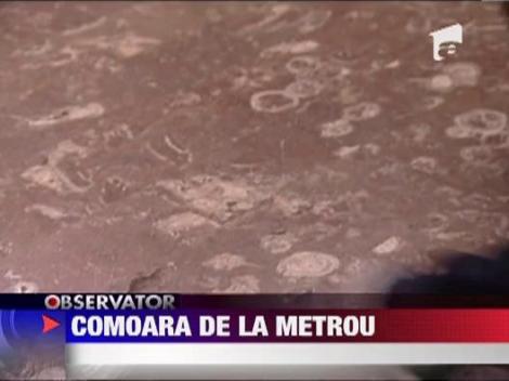 Fosile de moluste in marmura statiei de metrou Politehnica