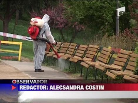 Autoritatile au inceput operatiunea de exterminare a capuselor