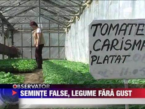 Seminte false, legume fara gust