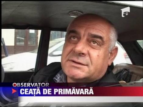 Ceata de primavara