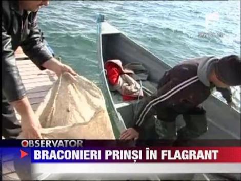 Dosare penale pentru braconaj