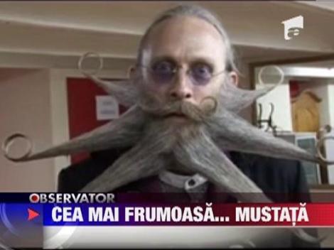 Cea mai frumoasa mustata