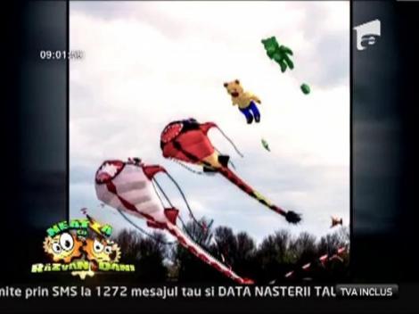 Festivalul international al zmeelor „Black Sea Kite Festival”