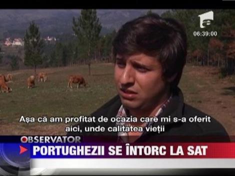 Portugalia: Tot mai multi locuitori ai oraselor se muta la sate