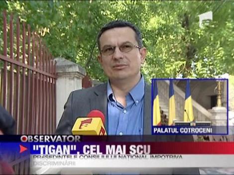 "Tigan" a devenit un cuvant scump, pentru cine il foloseste in sens peiorativ