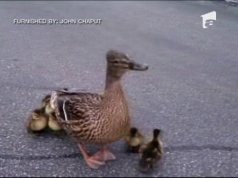 Misiune de salvare inedita in SUA