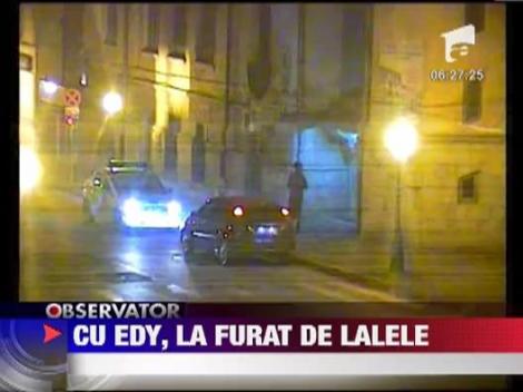 Trei tineri din Iasi au fost prinsi furand flori de pe strada