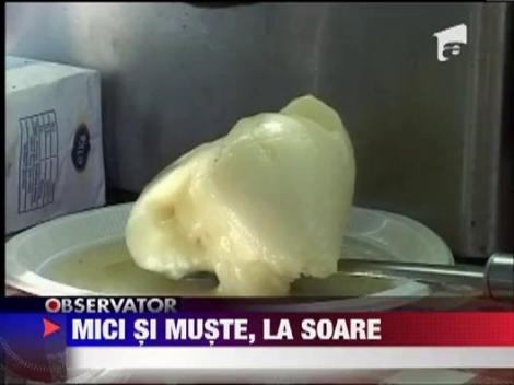 Inspectorii OPC cu ochii pe mici si frigarui