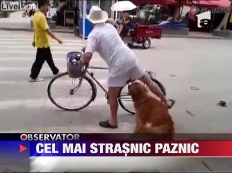 Cel mai strasnic paznic