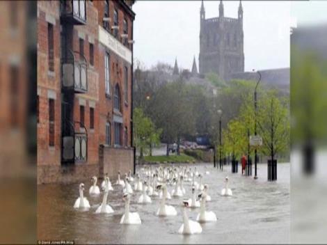 Inundatiile din Marea Britanie, imagini spectaculoase