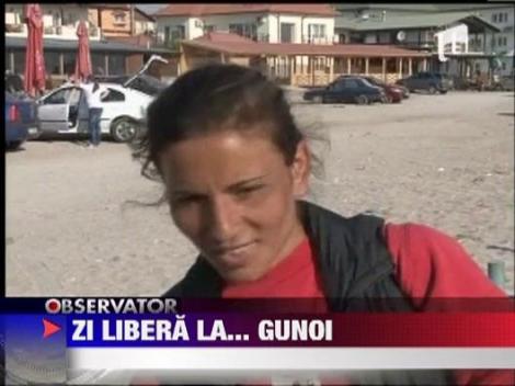 Ieri mirosea a mici, azi miroase a gunoaie