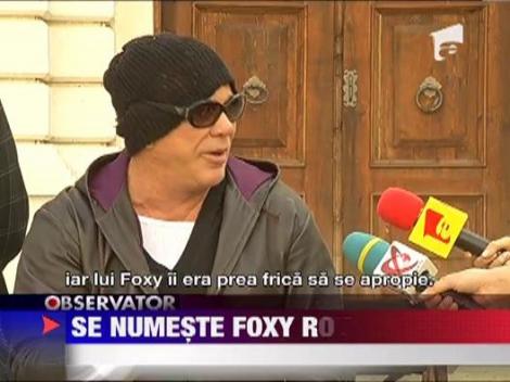 Foxy, maidanezul adoptat de Mickey Rourke, pleaca in SUA