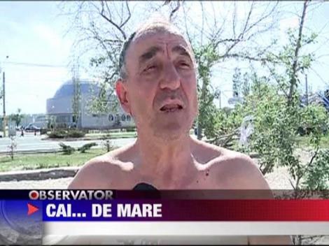 Cu caii la scaldat in mare