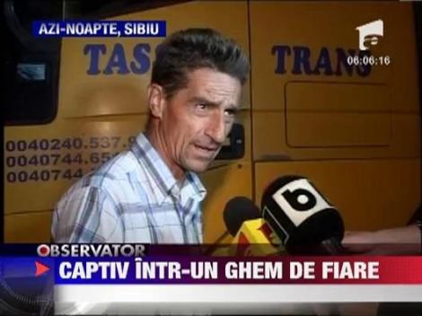 Captiv intr-un ghem de fiare