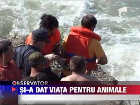 Un copil de 10 ani si-a dat viata pentru a salva animalele
