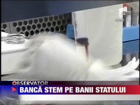 Prima banca publica de celule stem s-a deschis ieri la Bucuresti