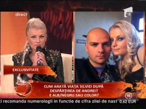 Sylvia: "Amandoi am suferit foarte mult in urma divortului!"