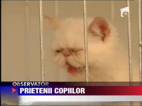 Expozitie de animale de companie, la Iasi