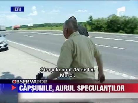 Capsunile, aurul speculantilor