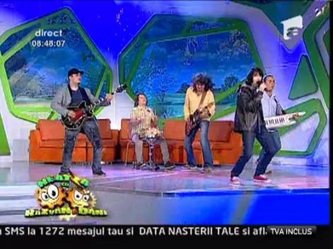 Sarmalele Reci - Haos.ro