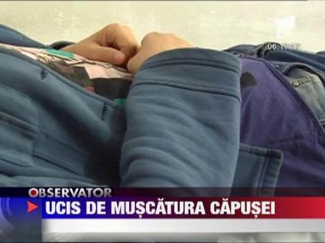 Un roman a murit dupa ce a fost muscat de o capusa