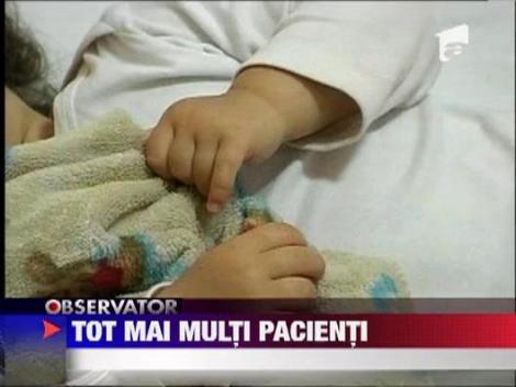 Capusele fac ravagii printre brasoveni