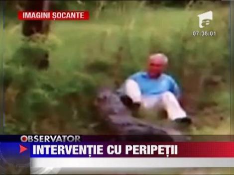 Atacat de un aligator