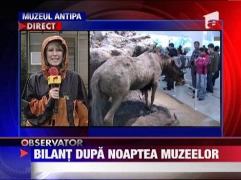 Bilant dupa Noaptea Muzeelor