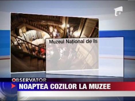 Noaptea cozilor la muzee