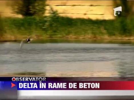 Delta intre cartierele Bucurestiului