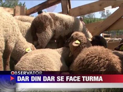 Programul "Pasarea darului", un succes