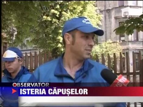 Capusele creeaza panica generala