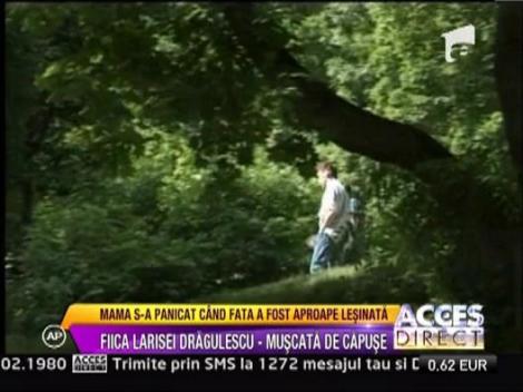 Fiica Larisei Dragulescu, muscata de capuse de 3 ori