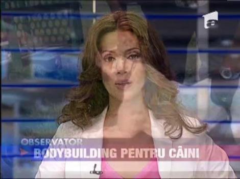 Bodybuilding pentru caini