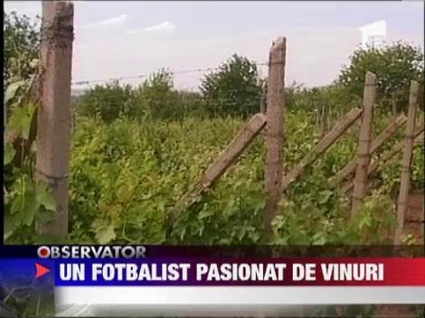 Adrian Anca s-a apucat de viticultura