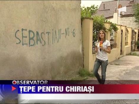 Tepe pentru chiriasi