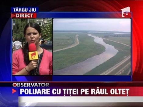 Poluare cu titei pe raul Oltet