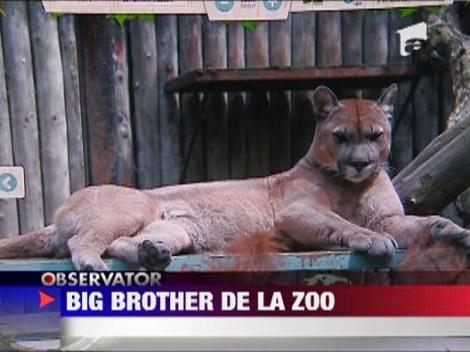 Gradina Zoologica din Bucuresti s-a mutat pe internet!